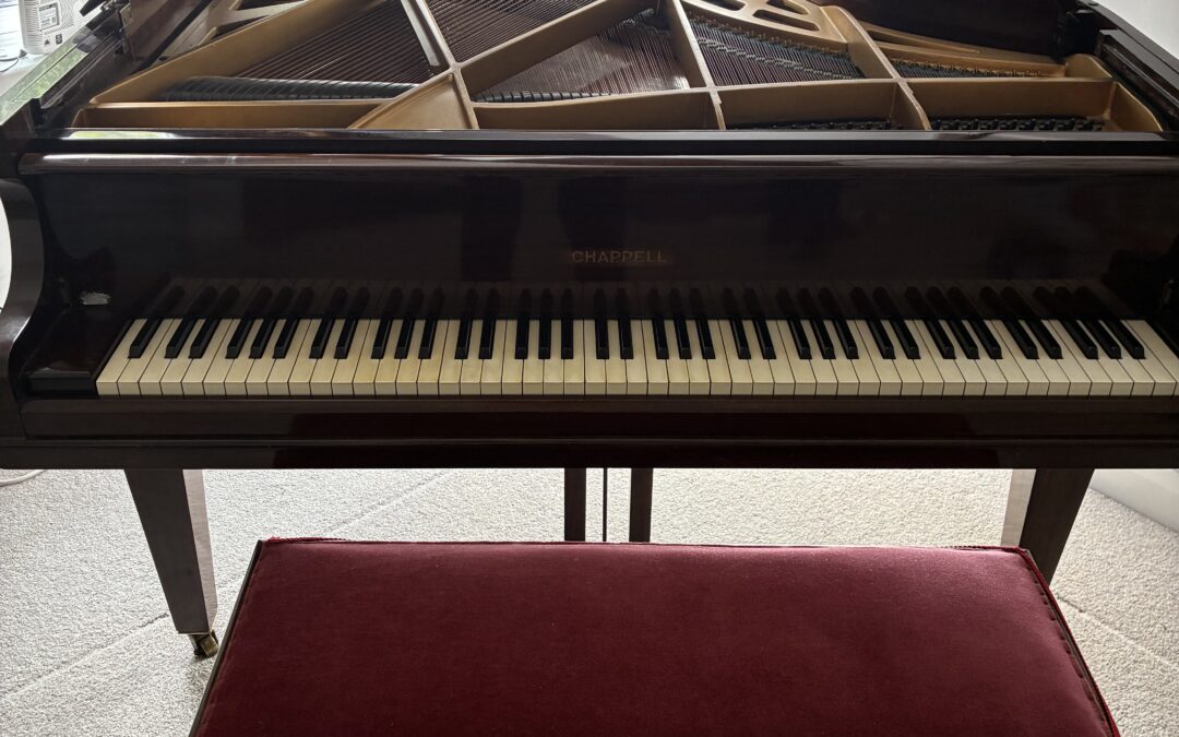 Inside Piano Repairs: A Technician’s Take on Common Challenges