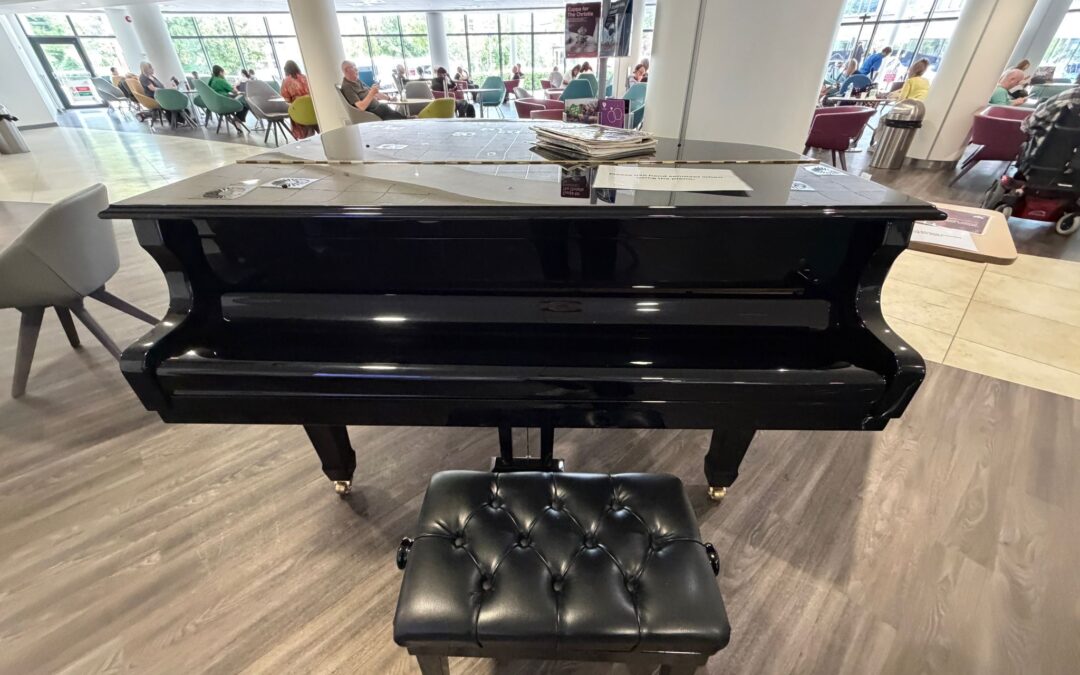 Broken Piano String? Reasons You Must Hire a Professional to Fix It